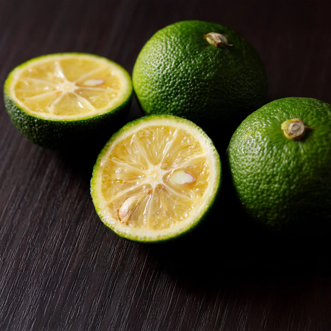 Sudachi Lime Tree - Image 3