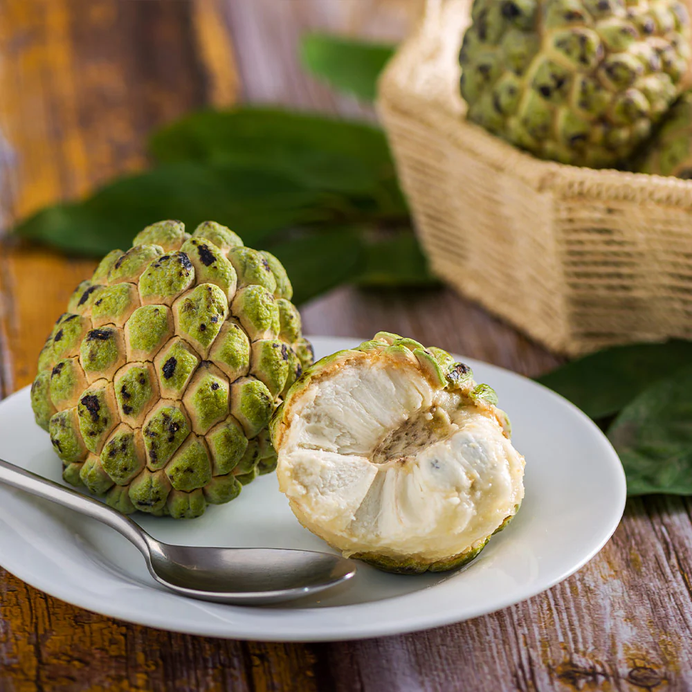 Sugar Apple (Sweetsop) Tree - Image 5