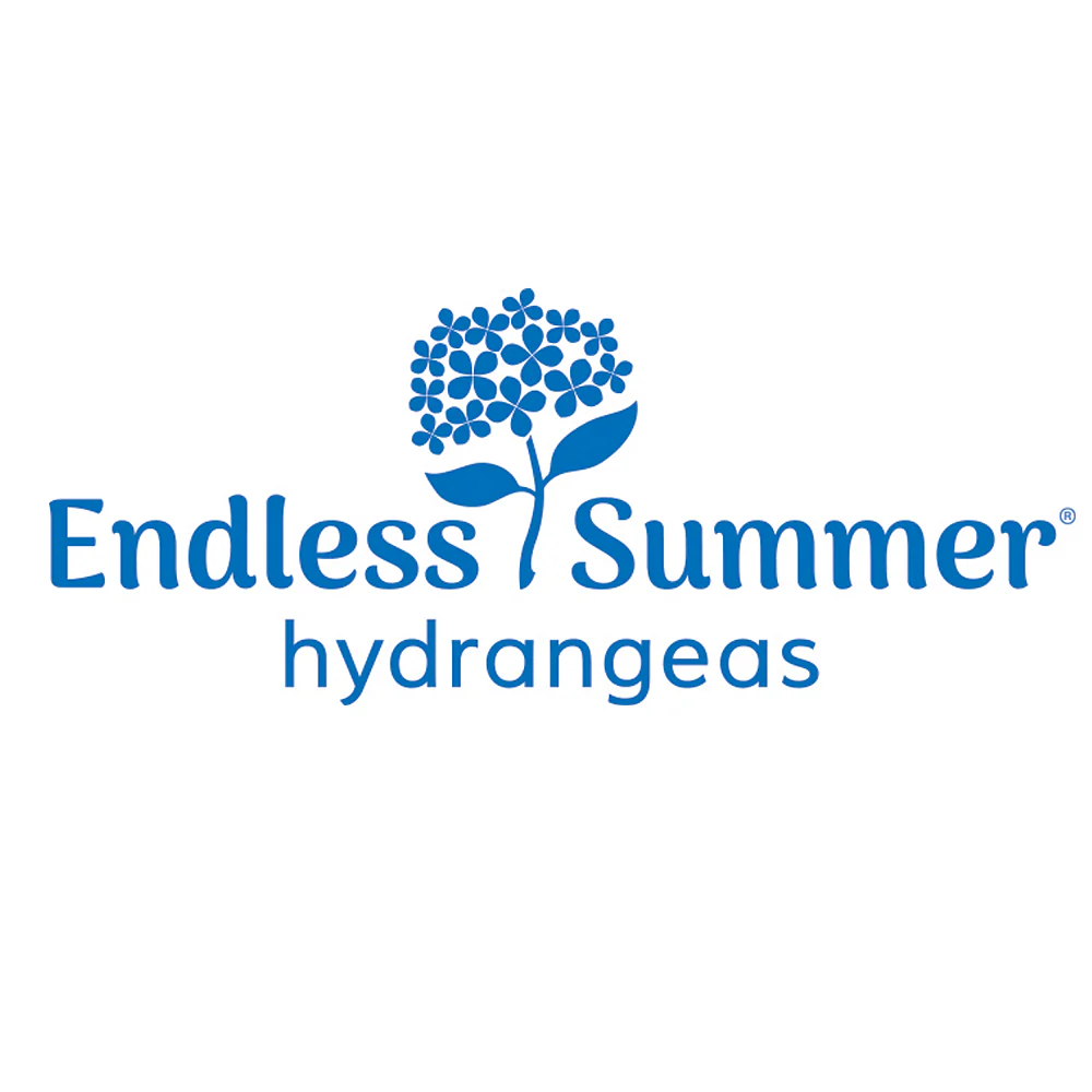 Endless Summer® Summer Crush® Hydrangea - Image 9