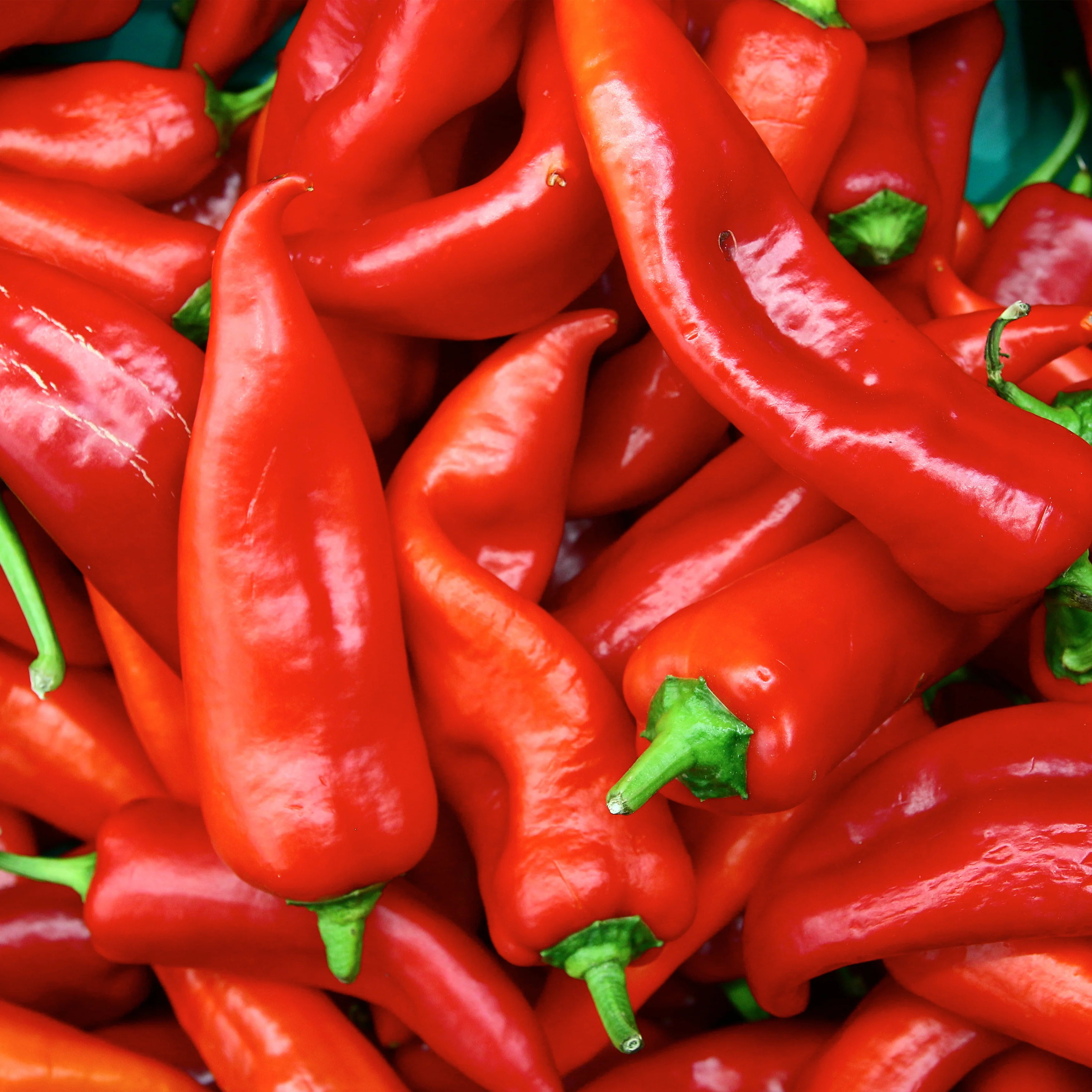 Sweet Pepper - Image 3