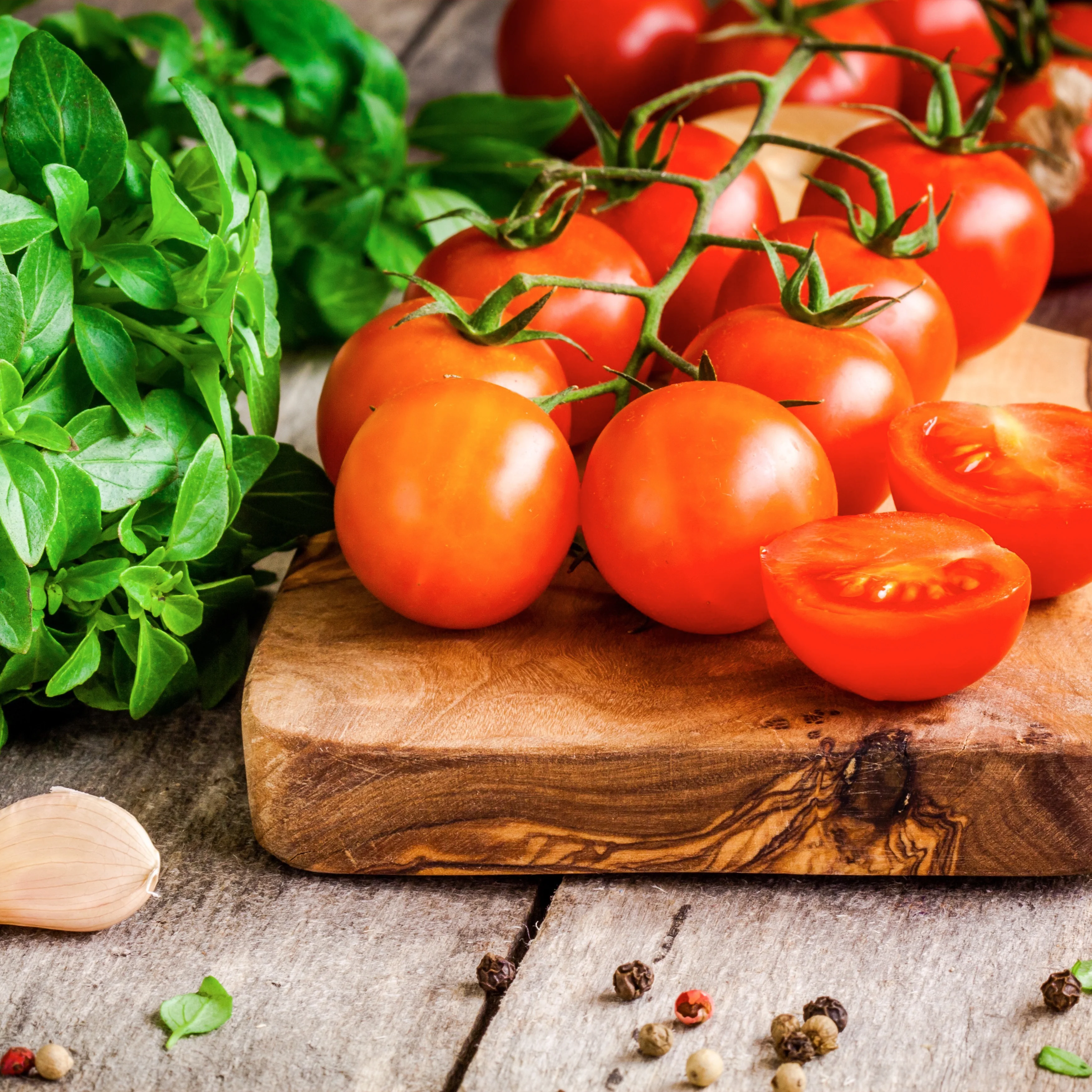 Sweet Tomato Plant - Image 4