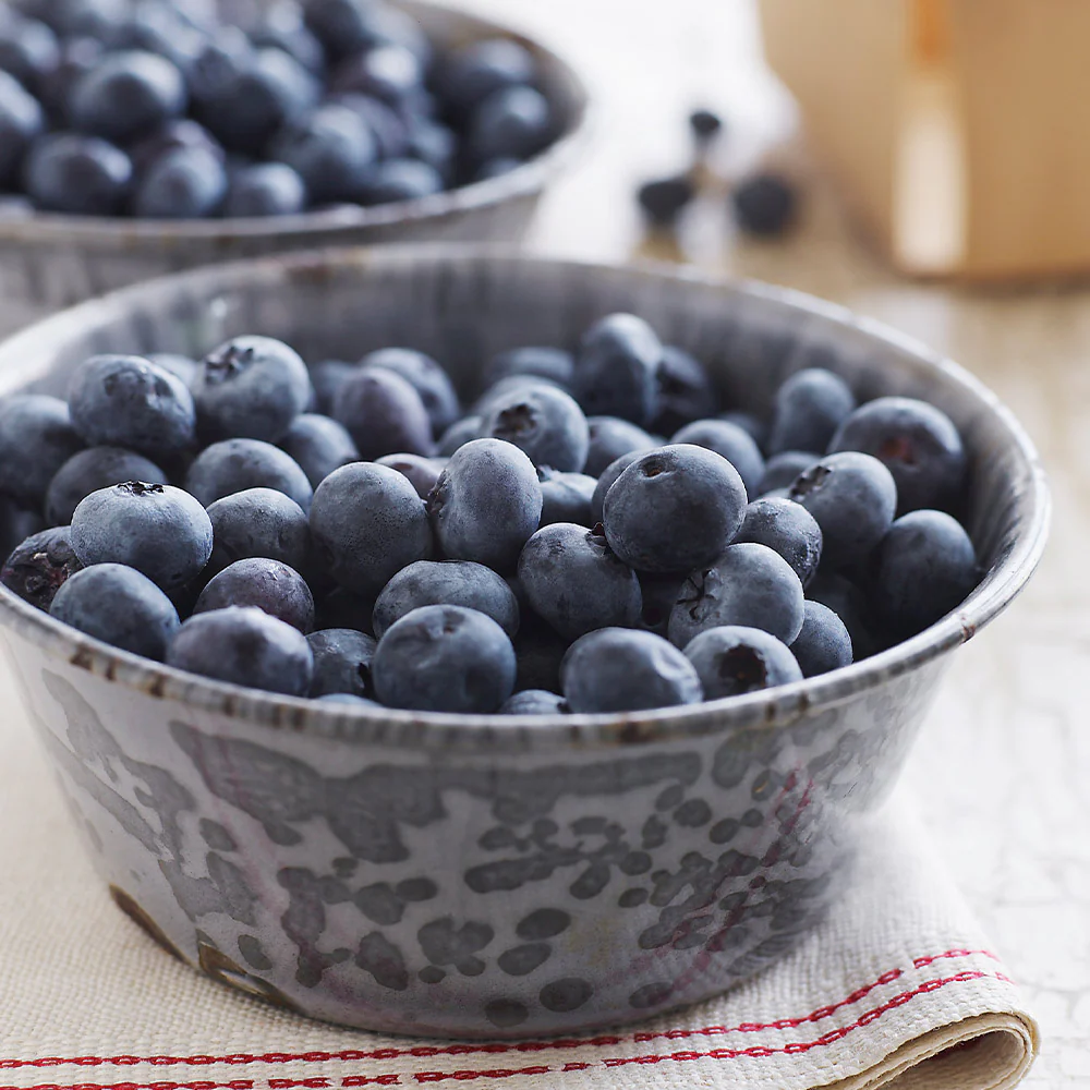 Sweetheart Blueberry Bush - USDA Organic - Image 4