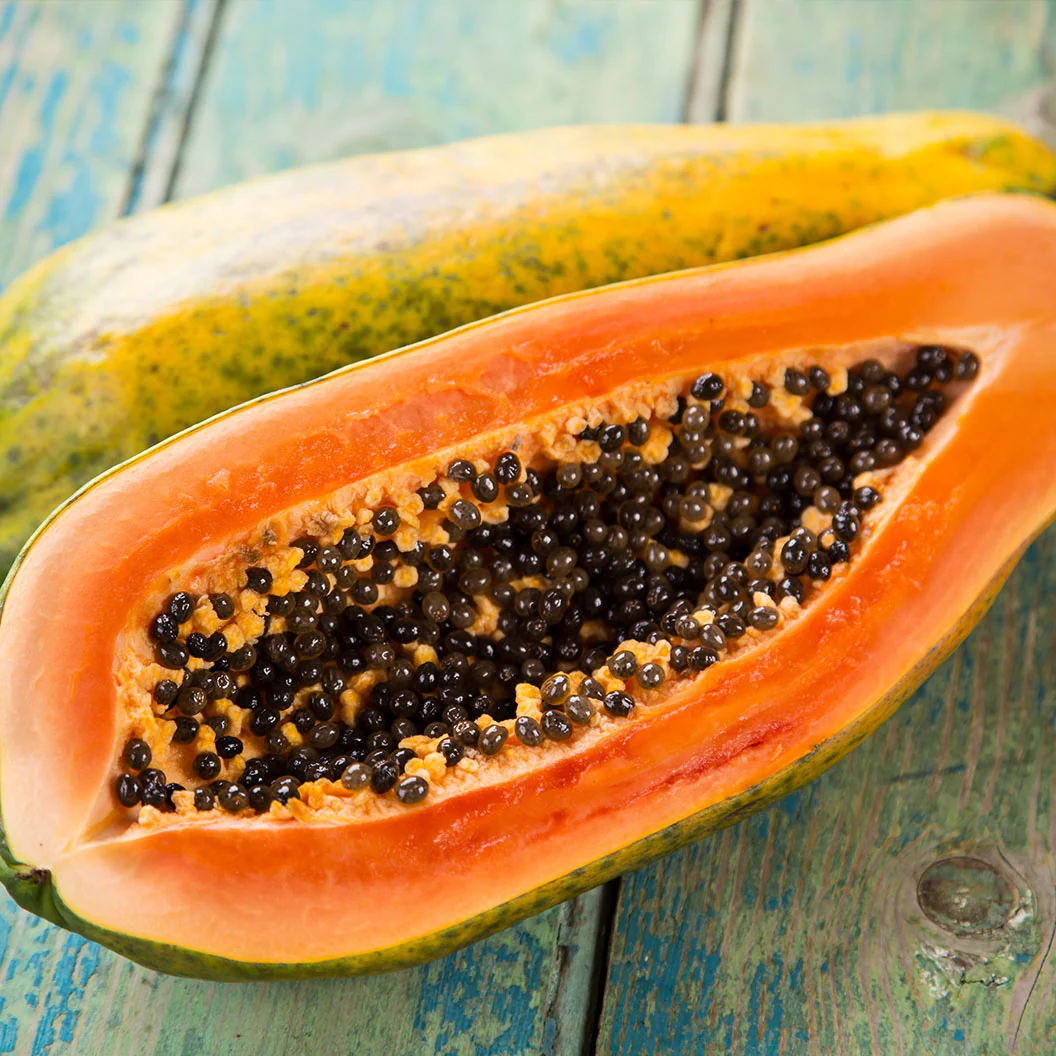 Tainung Papaya Tree - Image 3
