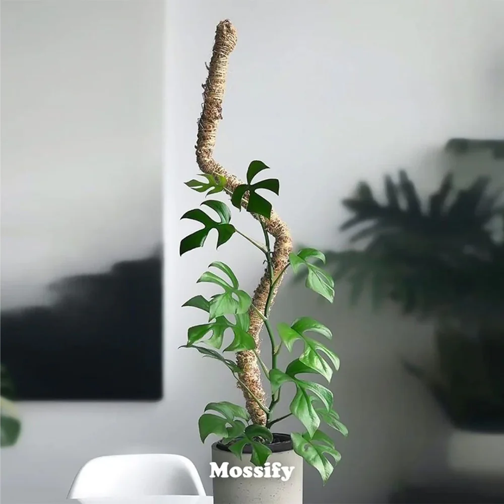 Mossify The Original Bendable Moss Pole™ - Image 3