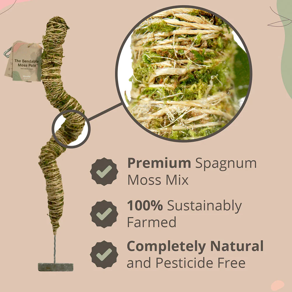 Mossify The Original Bendable Moss Pole™ - Image 5