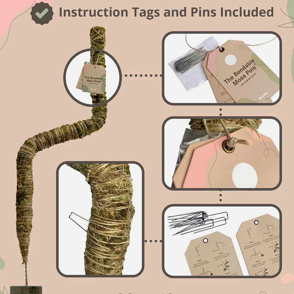 Mossify The Original Bendable Moss Pole™ - Image 6