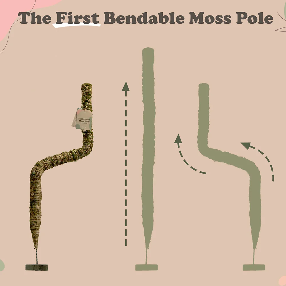 Mossify The Original Bendable Moss Pole™ - Image 7