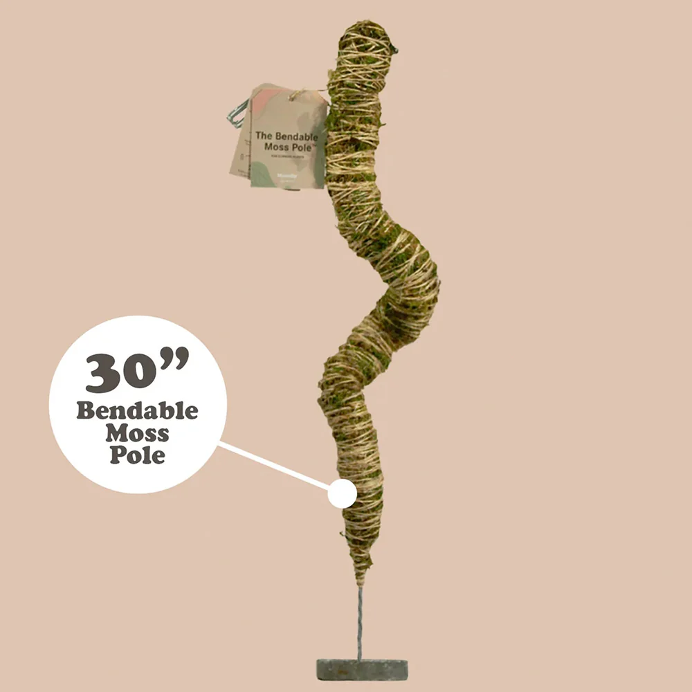 Mossify The Original Bendable Moss Pole™ - Image 8