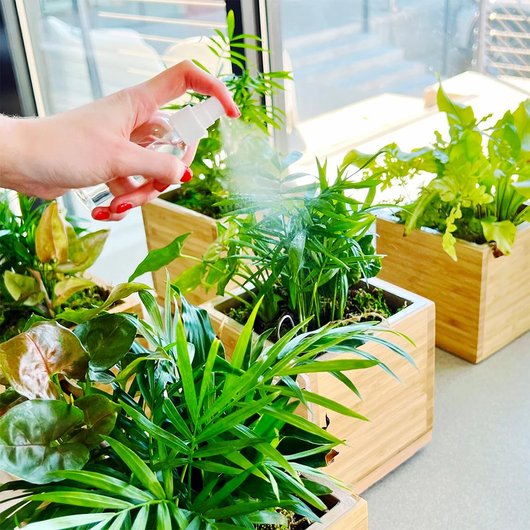 Gardenuity® Tropical Desktop Garden Kit in Bamboo Planter - Image 3