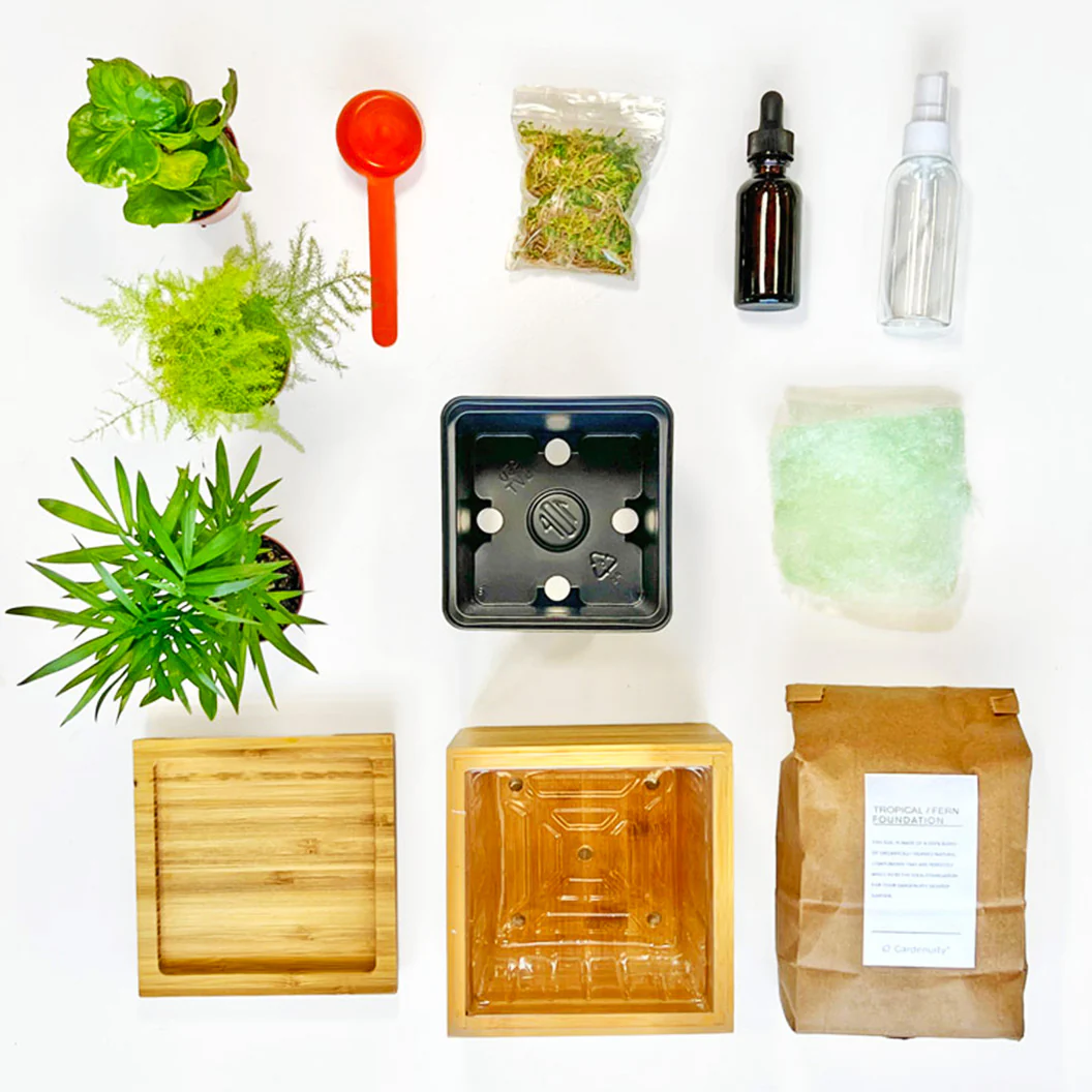 Gardenuity® Tropical Desktop Garden Kit in Bamboo Planter - Image 4