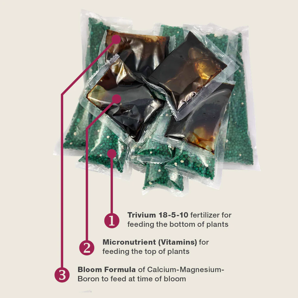 Growscripts Tropical Fruit Tree Care Kit - Image 5
