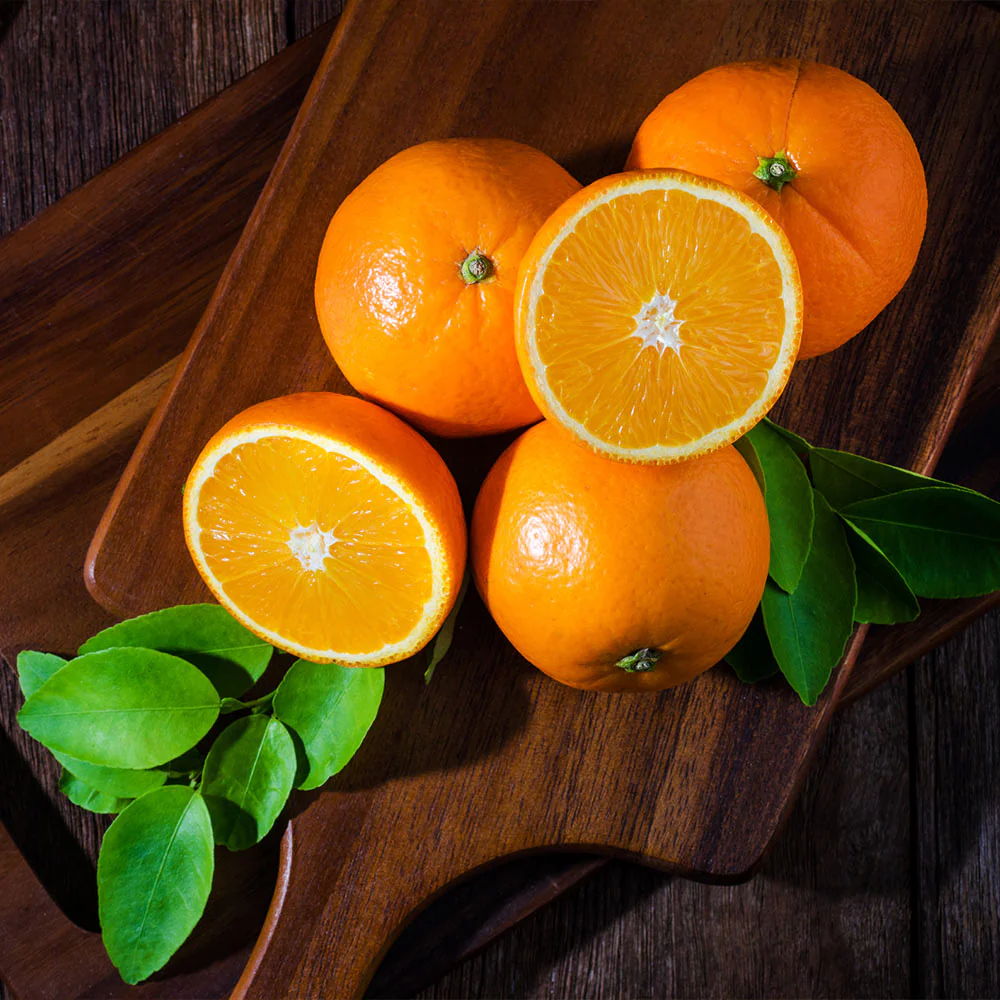 Valencia Orange Tree - Image 5