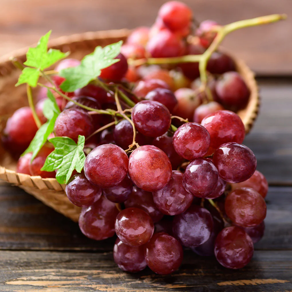 Victoria Red Grape - Image 3