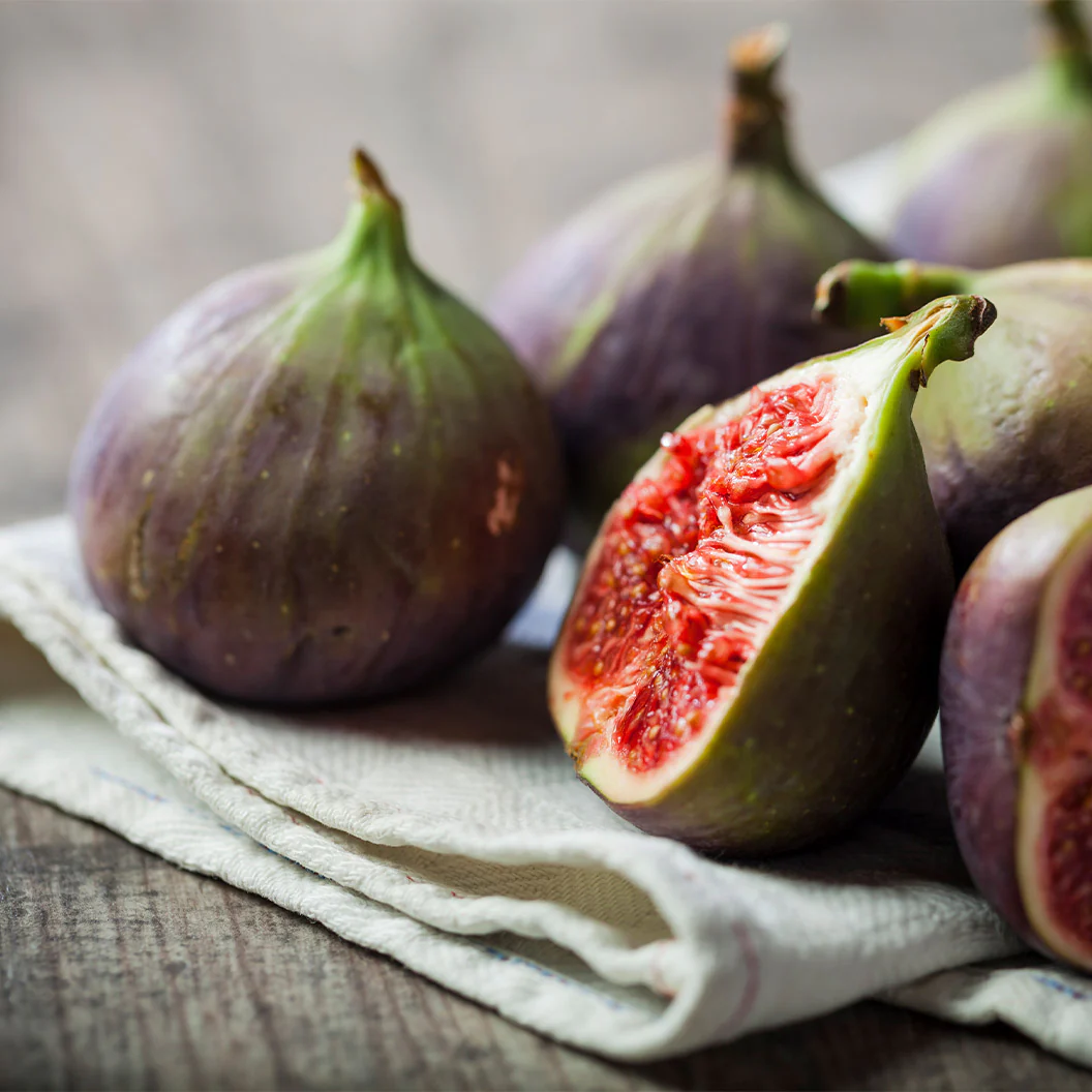 Violette de Bordeaux Fig Tree - USDA Organic - Image 3