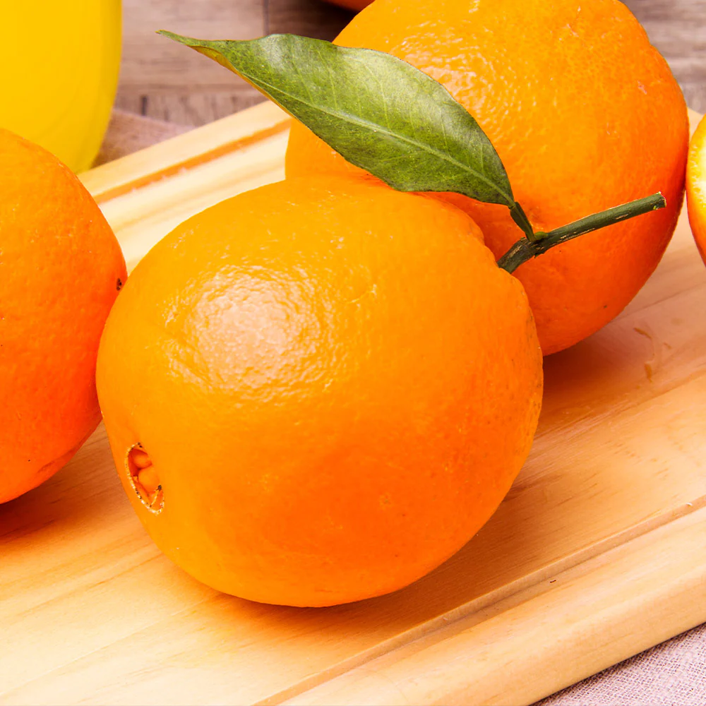Navel Orange Tree - Image 4