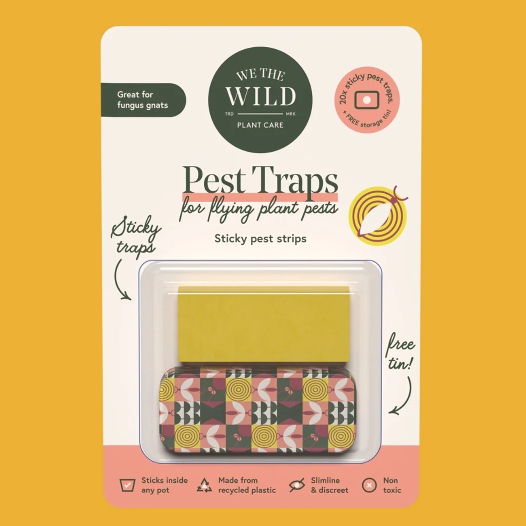 We the Wild Compostable Gnat Trap - Image 2