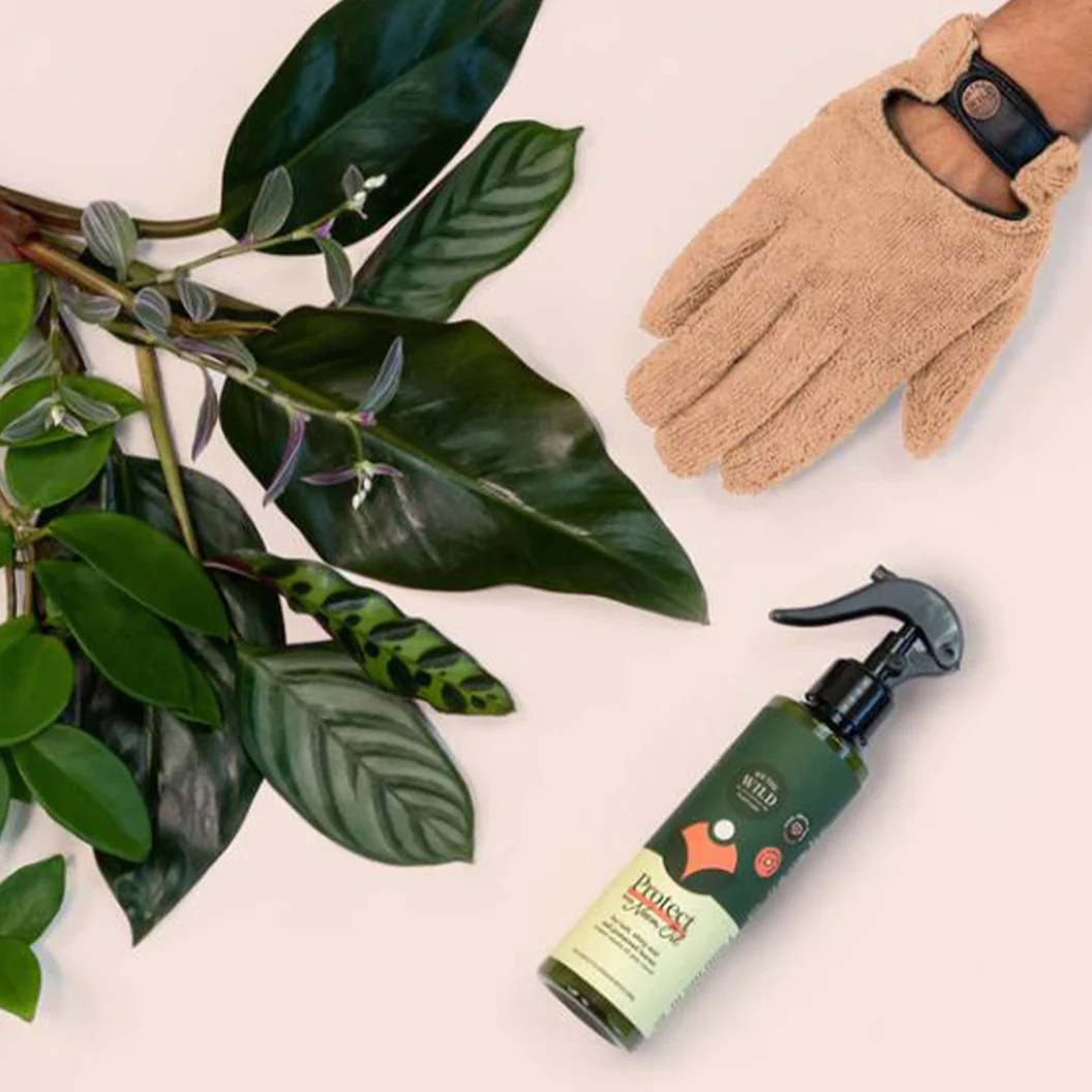 We the Wild Proud Plant Mum Leaf Care Kit - Image 3