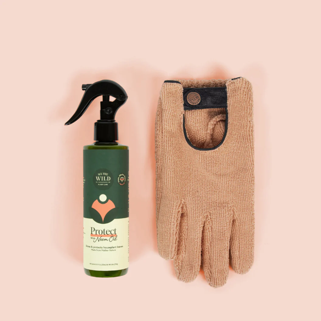 We the Wild Proud Plant Mum Leaf Care Kit - Image 4