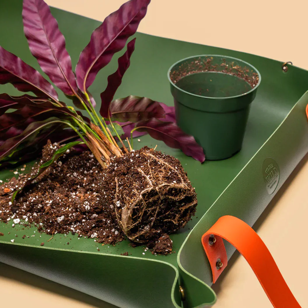 We the Wild Reusable Potting Mat - Image 2