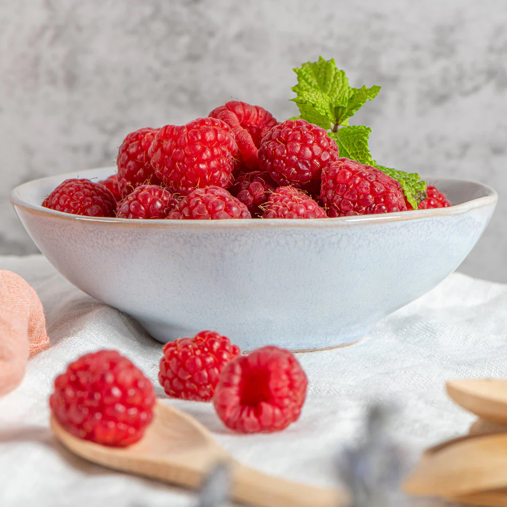 Willamette Red Raspberry Bush - Image 3