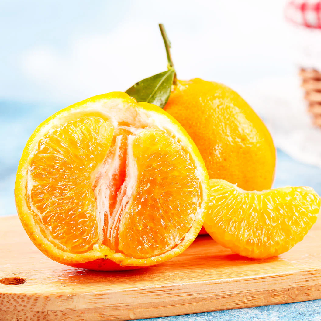 Xie Shan Satsuma Tree - Image 3