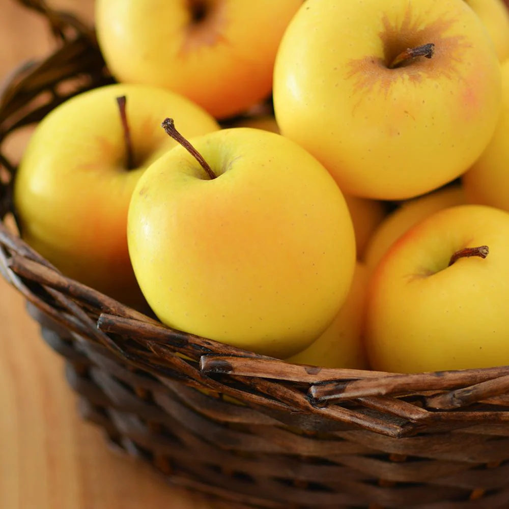 Golden Delicious Apple Tree - Image 4