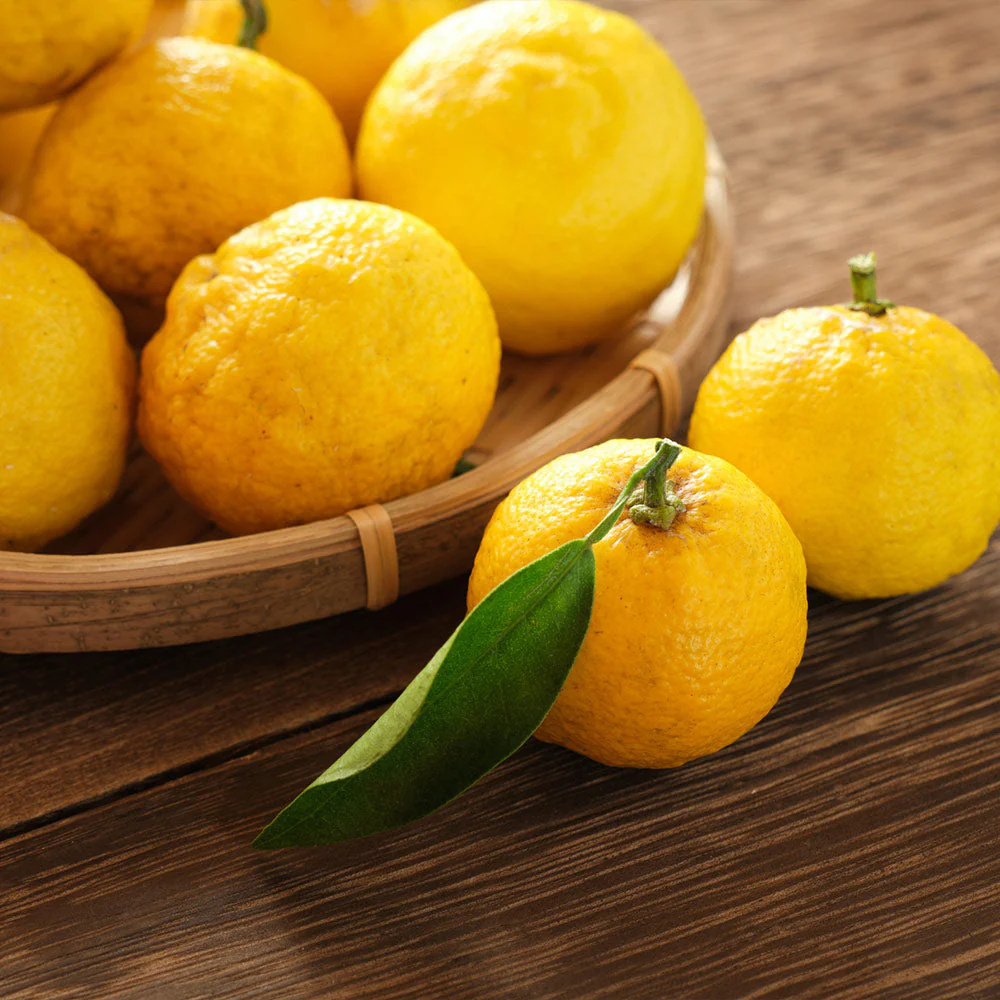 Yuzu Tree - Image 3
